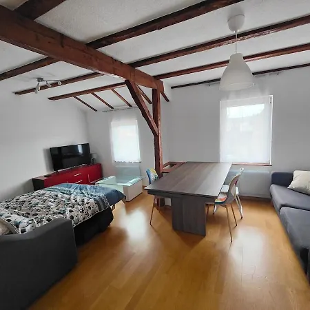 아파트 Cozy F2 Near Border Basel 4 People