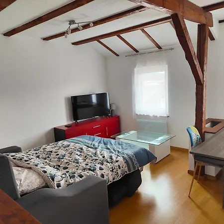 Cozy F2 Near Border Basel 4 People Apartment