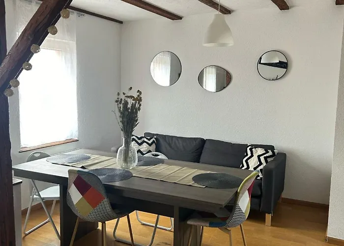 Cozy F2 Near Border Basel 4 People Apartmán