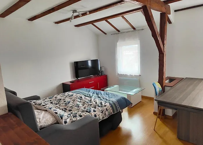 Cozy F2 Near Border Basel 4 People Apartmán